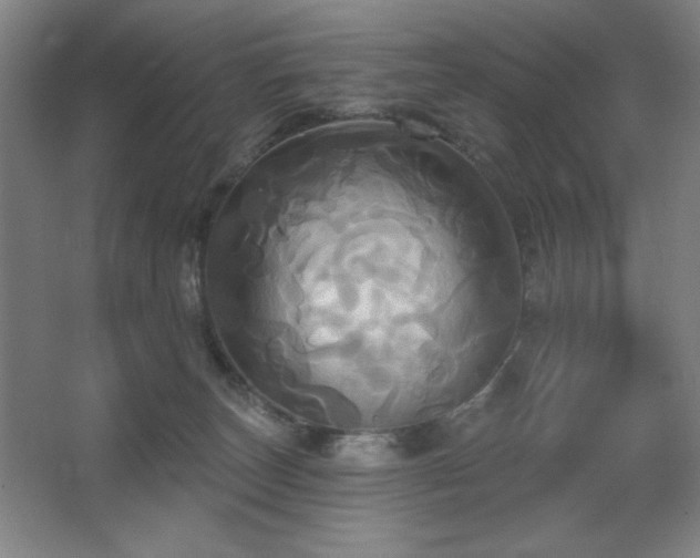 X0000067350179200603311202