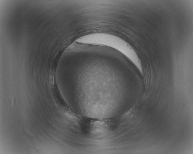 X0000067350180200603311202