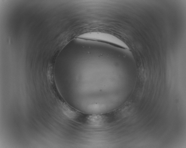 X0000067350181200603311202