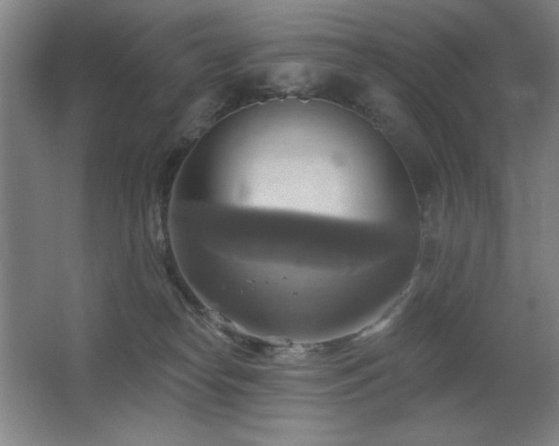 X0000067350182200603311202
