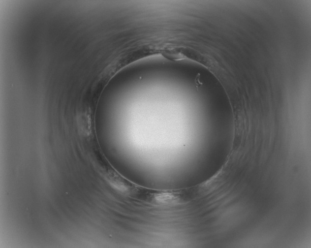 X0000067350183200603311202