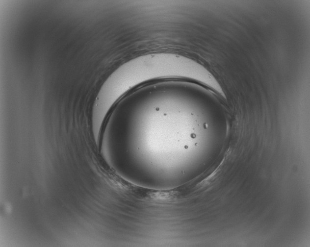 X0000067350187200603311202