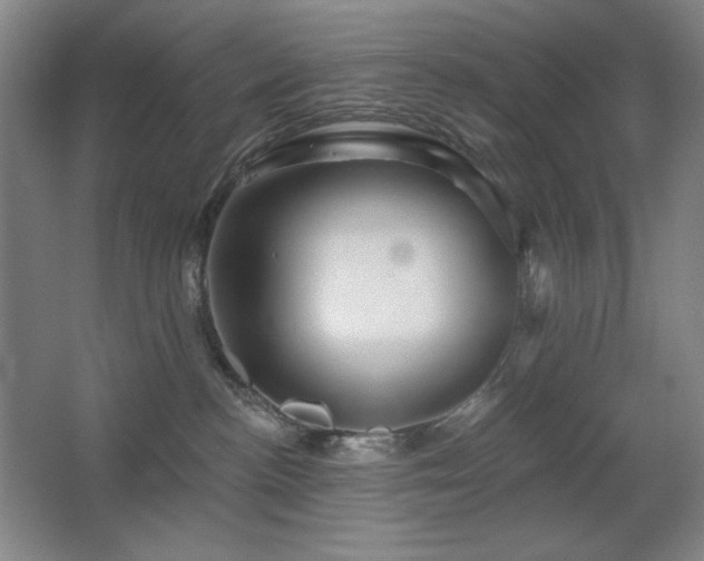 X0000067350188200603311202