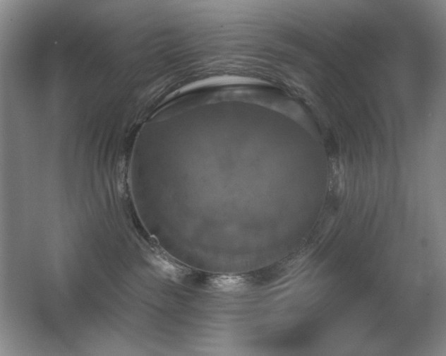 X0000067350189200603311202
