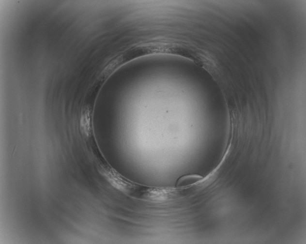 X0000067350190200603311202