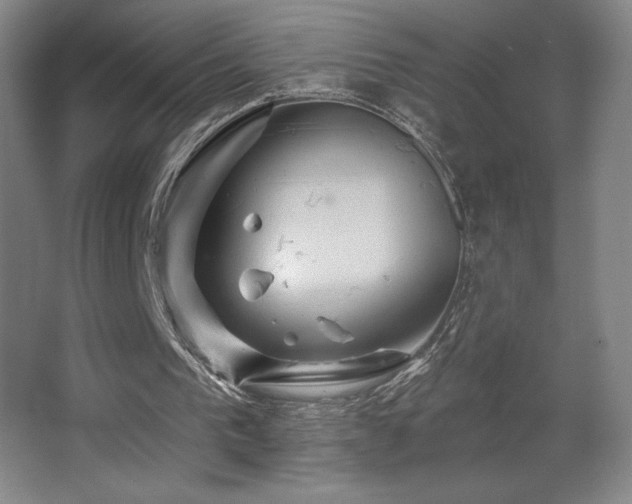 X0000067350193200603311201