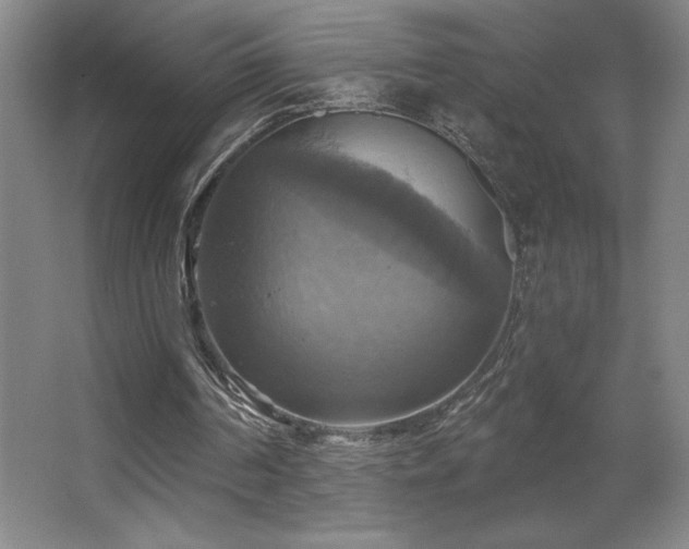 X0000067350194200603311201