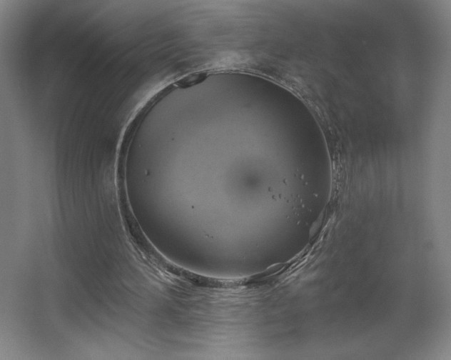 X0000067350196200603311201