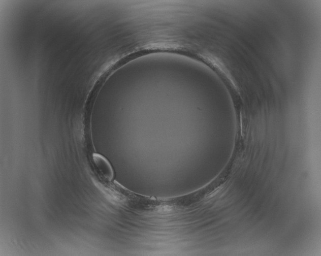 X0000067350204200603311201