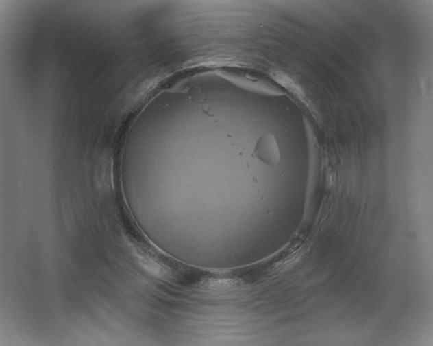 X0000067350205200603311201