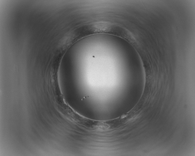 X0000067350215200603311201