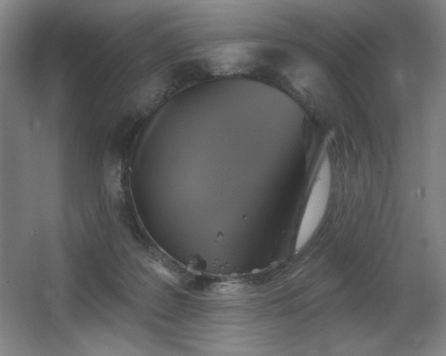 X0000067350219200603311200