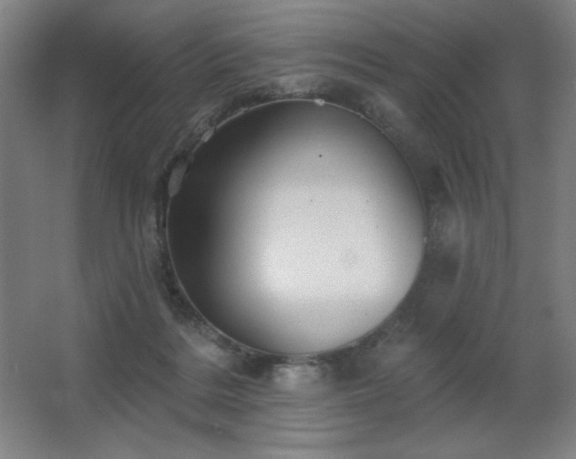 X0000067350220200603311200