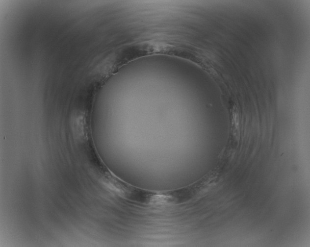 X0000067350222200603311200