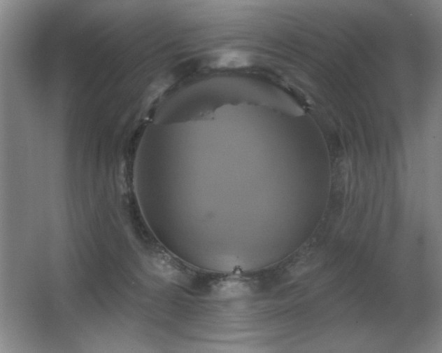 X0000067350224200603311200