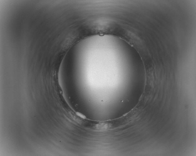 X0000067350225200603311200