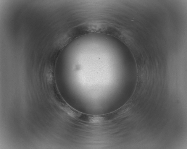 X0000067350226200603311200