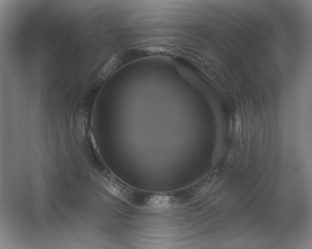 X0000067350227200603311200