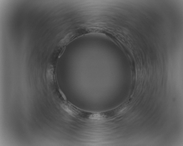 X0000067350231200603311200