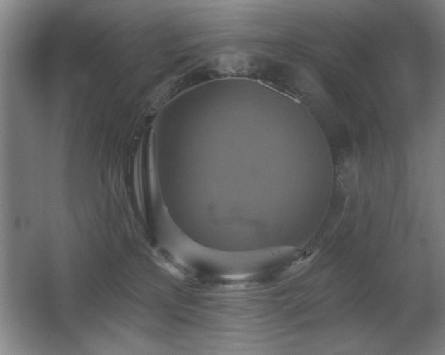 X0000067350233200603311200