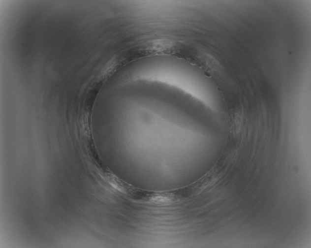 X0000067350236200603311200