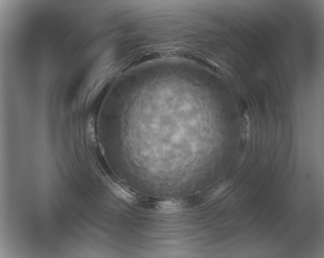 X0000067350238200603311200