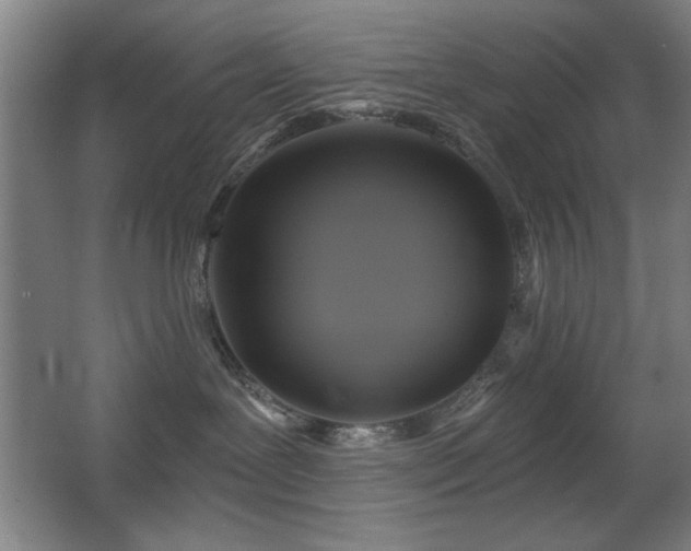 X0000067350239200603311200