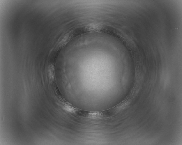 X0000067350240200603311200