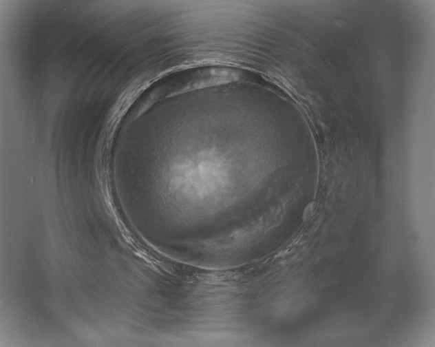 X0000067350241200603311159