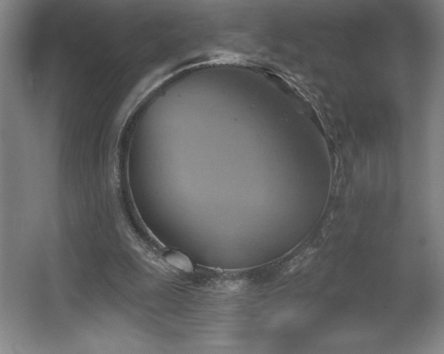 X0000067350247200603311159