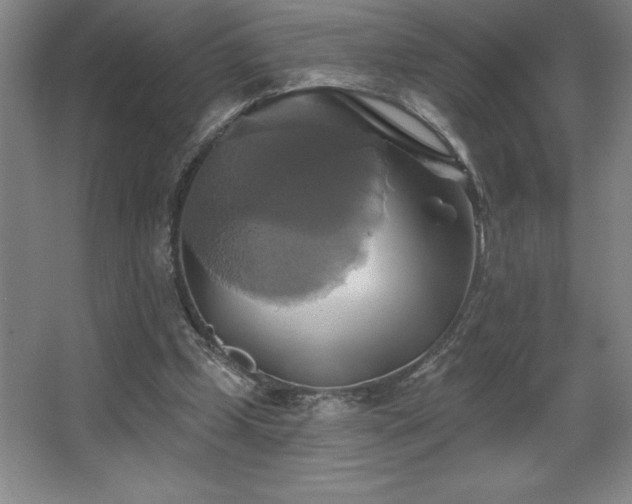 X0000067350249200603311159