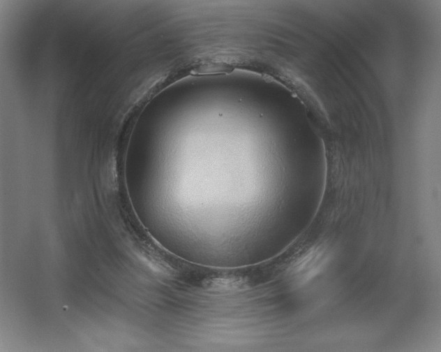 X0000067350251200603311159
