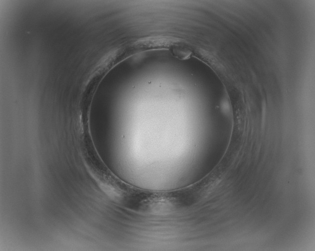 X0000067350254200603311200