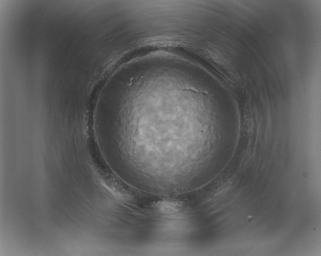 X0000067350255200603311200
