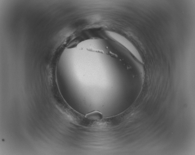 X0000067350260200603311200