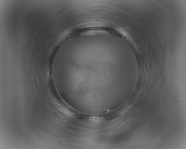X0000067350261200603311200