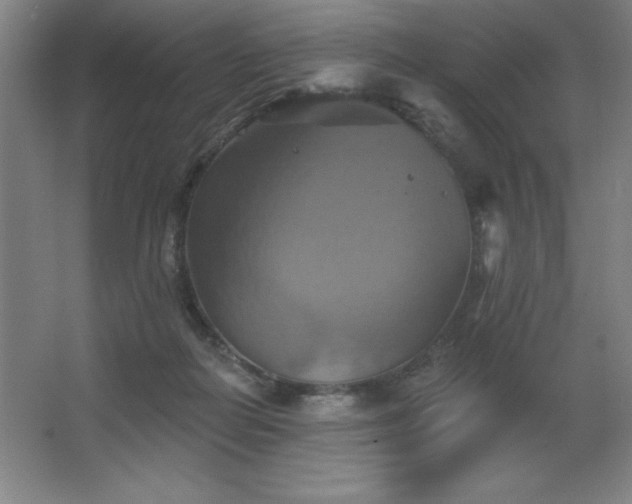 X0000067350266200603311200