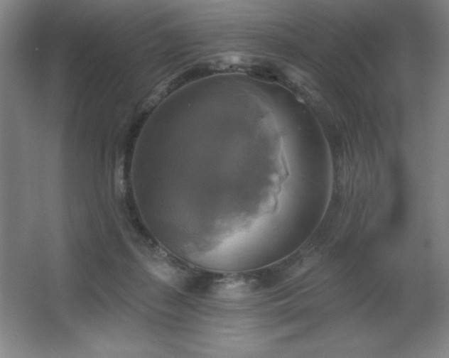 X0000067350267200603311200