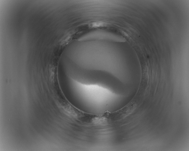 X0000067350271200603311200