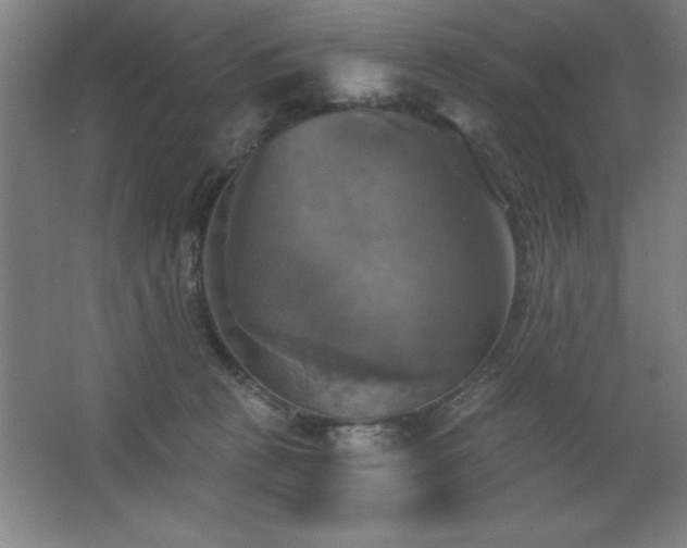 X0000067350273200603311200