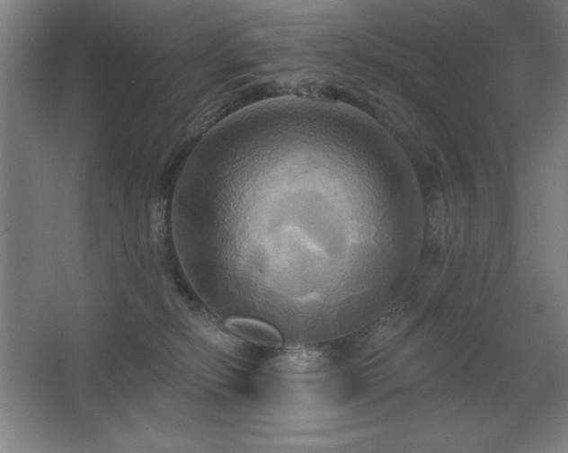 X0000067350278200603311200