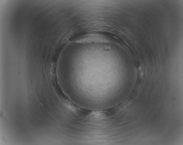 X0000067350280200603311200