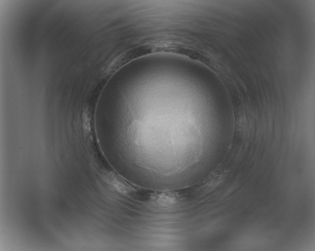 X0000067350282200603311200