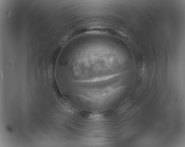 X0000067350283200603311200