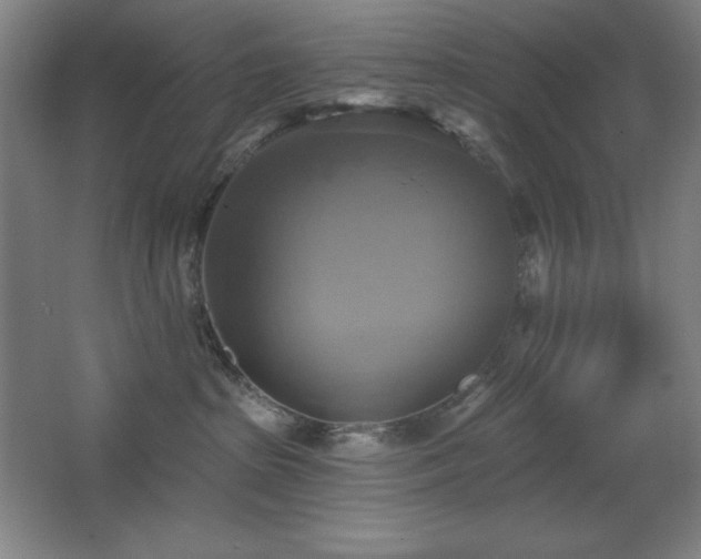 X0000067350285200603311200