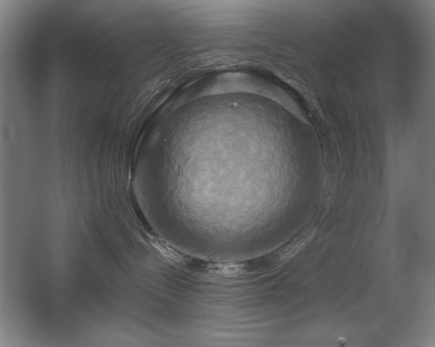 X0000067350288200603311200