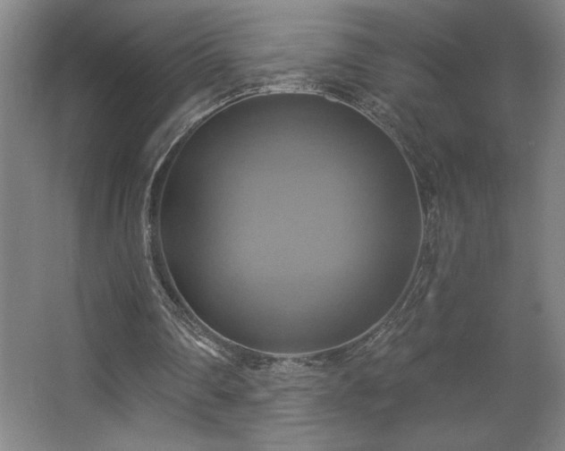 X0000067350290200603311159