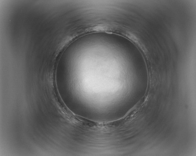X0000067350297200603311159