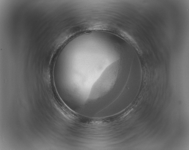 X0000067350298200603311159