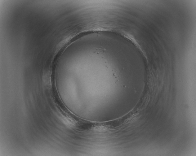 X0000067350299200603311159